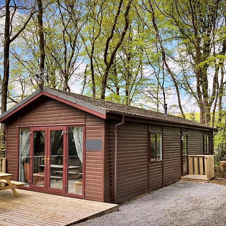 Woodland View -Hot Tub-Tenby-Carmarthen-St Clears Bagian luar foto